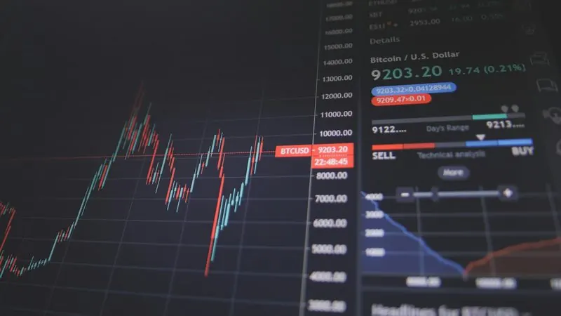 Rapport PDF : analyse financière d'une entreprise belge avec graphiques et ratios